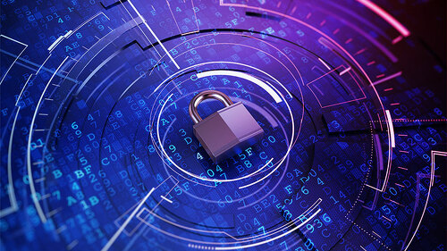 cyber-security-schloss-80977960-fo-sashkin