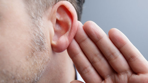 hand-an-ohr-100208019-fo-brian-jackson