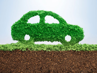 blatt-auto-101702302-fo-pogonici