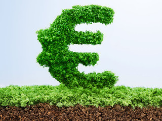 euro-gras-gruen-101702214-fo-pogonici