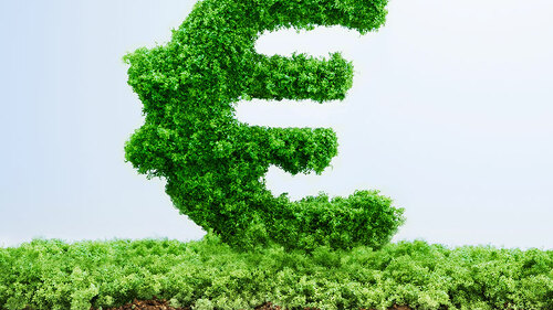 euro-gras-gruen-101702214-fo-pogonici