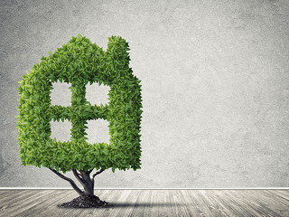 haus-gruen-baum-126076435-FO-adam121