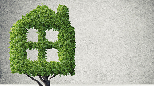 haus-gruen-baum-126076435-FO-adam121