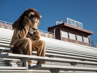 Traurogers-Loewen-Maskottchen-135493218-FO-jaredplatt