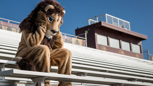 Traurogers-Loewen-Maskottchen-135493218-FO-jaredplatt