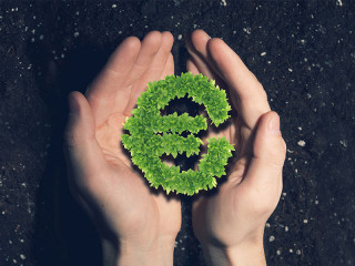 Euro-Pflanze-in-Haenden-110752407-FO-Sergey-Nivens