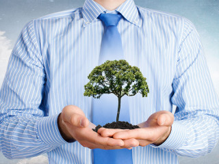 Anzugtraeegr-Baum-in-Haenden-88921953-FO-Sergey-Nivens