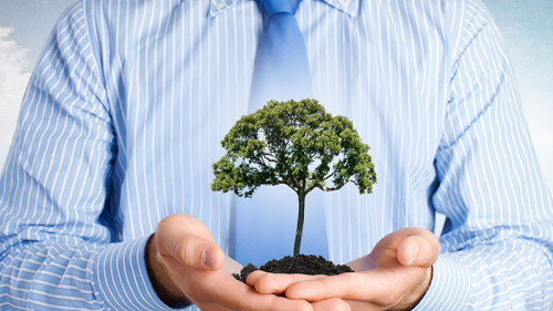 Anzugtraeegr-Baum-in-Haenden-88921953-FO-Sergey-Nivens