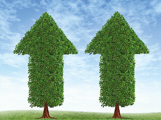 Pfeilfoermige-Baeume-41939106-FO-freshidea