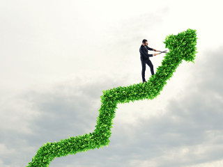 Anzugtraeger-auf-Pflanzen-Graph-152215169-FO-alphaspirit