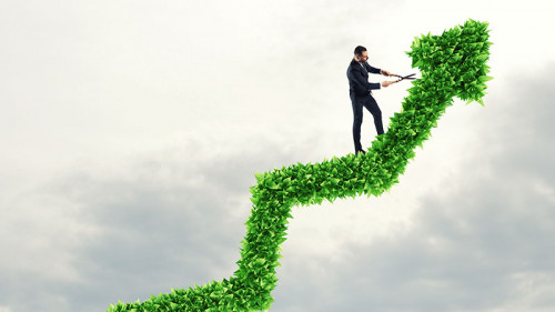 Anzugtraeger-auf-Pflanzen-Graph-152215169-FO-alphaspirit