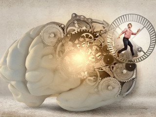 Gehirn-Zahnraeder-Frau-Laufrad-87246697-FO-Sergey-Nivens