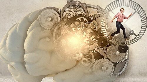 Gehirn-Zahnraeder-Frau-Laufrad-87246697-FO-Sergey-Nivens