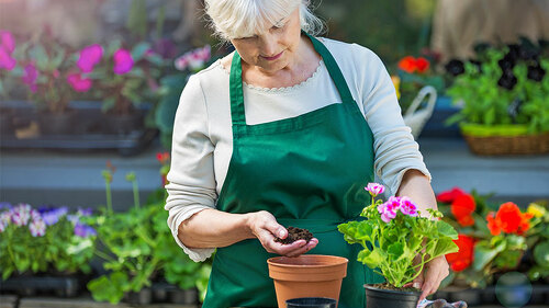 Seniorin-Blumenladen-158991076-FO-pikselstock