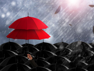 Doppelschirm-171190093-FO-nirutft