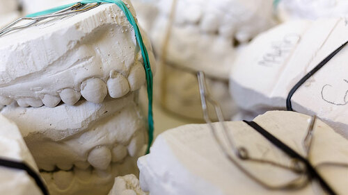 Gebiss-Modelle-797308-PB-Humusak