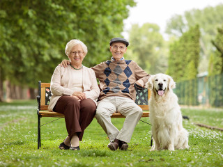 Rentner-Paar-Bank-Hund-156557426-FO-Ljupco-Smokovski