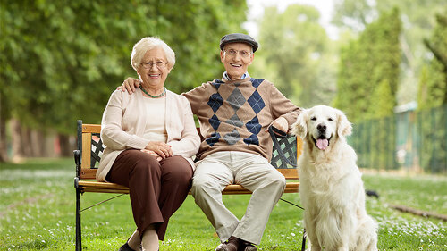 Rentner-Paar-Bank-Hund-156557426-FO-Ljupco-Smokovski