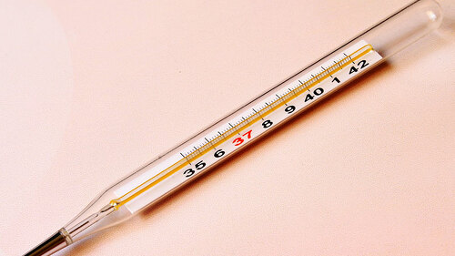Thermometer-869392-PB-Gadini