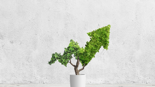 Topfpflanze-Graph-194117651-FO-robert