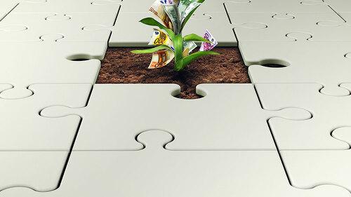 Euro-Pflanze-in-Puzzle-164692823-FO-alphaspirit