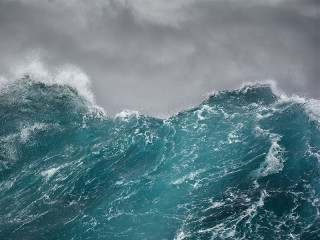 Welle-87820030-FO-andrej-pol