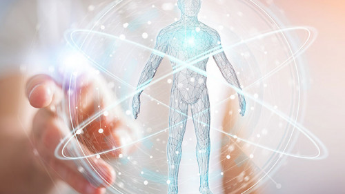 Menschlicher-Koerper-216245938-FO-sdecoret