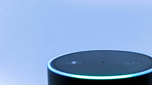 Alexa-182196222-FO-DanielDusPhotography
