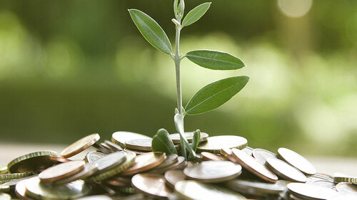 Trieb-aus-Muenzen-90699875-FO-carballo