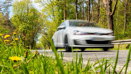 Auto-Natur-150185381-FO-Maurice-Tricatelle