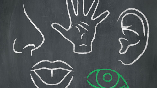 Grundfaehigkeiten-Kreide-Tafel-69692560-FO-Avel-Krieg