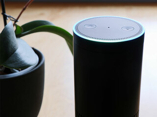 Alexa-175646674-FO-DanielDusPhotography