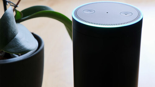 Alexa-175646674-FO-DanielDusPhotography