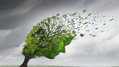 Baum-Demenz-121769562-FO-freshidea