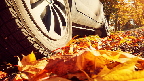Auto-Herbst-123773981-FO-candy1812