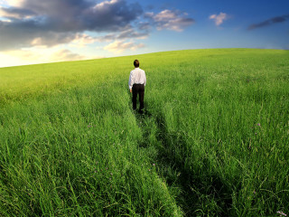 Anzugtraeger-in-Feld-16048490-FO-olly