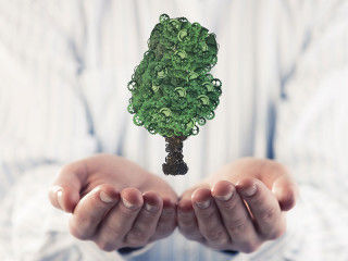 Haende-Baum-Zahnraeder-177829160-FO-adam121