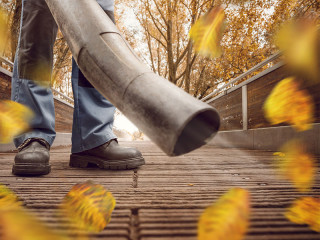 Mann-Laubblaeser-225349744-FO-photoschmidt