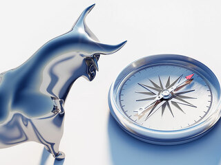 Stier-Kompass-200648014-FO-peterschreiber-media