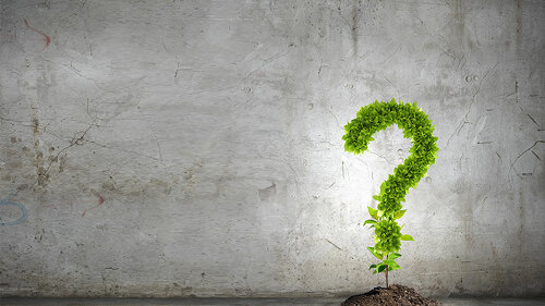 Fragezeichen-Pflanze-57898289-FO-Sergey-Nivens