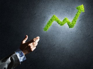 Hand-Pflanzen-Pfeil-168898723-FO-adam121