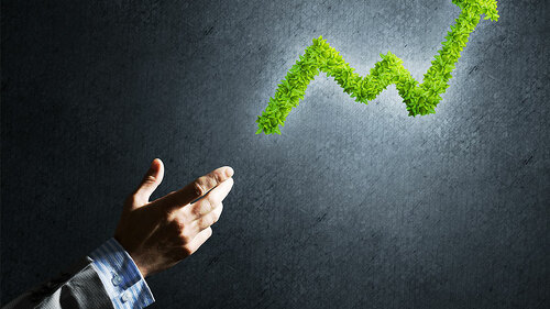 Hand-Pflanzen-Pfeil-168898723-FO-adam121