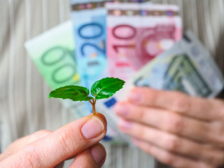 Hand-Trieb-Geldscheine-190045747-FO-sablinstanislav