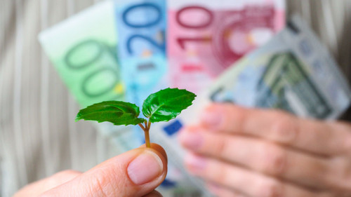 Hand-Trieb-Geldscheine-190045747-FO-sablinstanislav