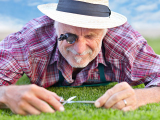 Senior-schneidet-Rasen-47901262-FO-Guenter-Menzl