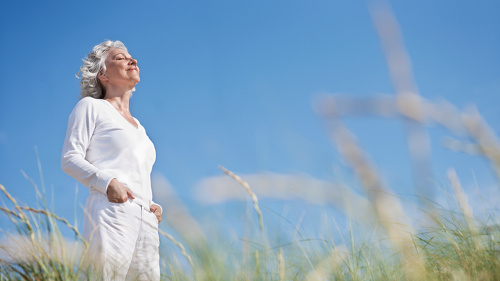 Rentenerhöhung 2026