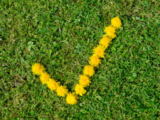 Energie‑ und CO₂‑Politik 2026