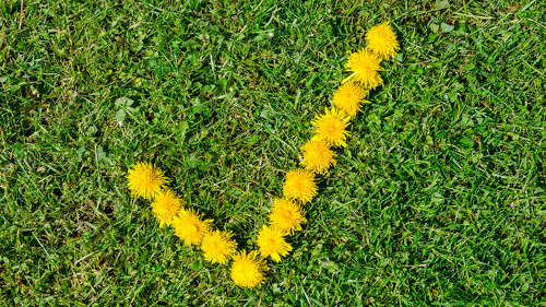 Energie‑ und CO₂‑Politik 2026