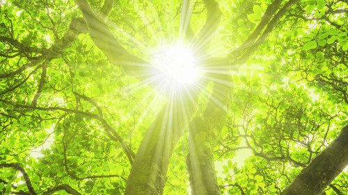 Die Bundesregierung hat den Gesetzentwurf zur Änderung des Umwelt-Rechtsbehelfsgesetzes beschlossen. Im Zentrum steht die Anpassung des Klagerechts für Umweltvereinigungen an internationale und europäische Vorgaben – insbesondere an die Anforderungen der Aarhus-Konvention und die Rechtsprechung des Europäischen Gerichtshofs.