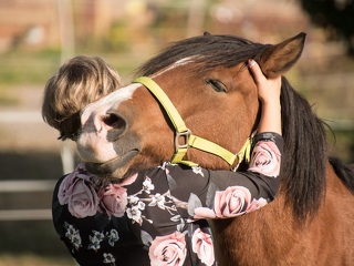 Pferde werden in unterschiedlichen Kontexten eingesetzt – vom Freizeitbereich bis hin zu Turnieren oder Reitbeteiligungen. Bei der Ermittlung des passenden Versicherungsschutzes muss das berücksichtigt werden.